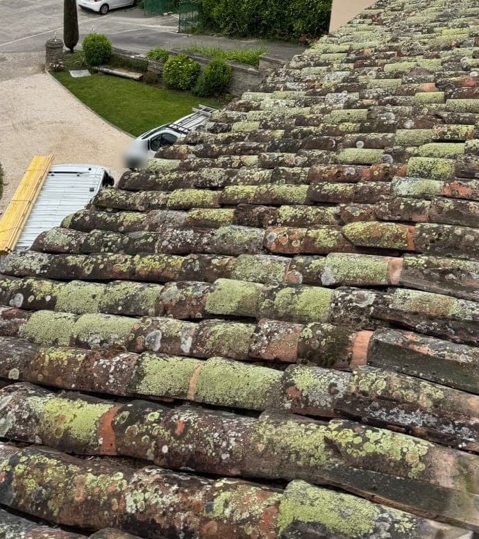 Tuiles canal couvertes de lichens verts avant remplacement